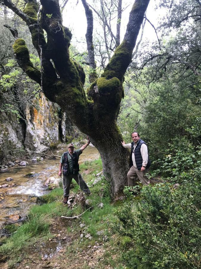 Capellania 7 Lägenhet Arroyo Frio Exteriör bild